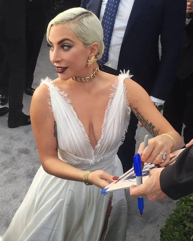 Lady Gaga 29 Photos Album